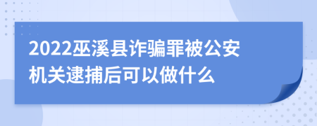 2022巫溪县诈骗罪被公安机关逮捕后可以做什么