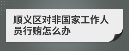 顺义区对非国家工作人员行贿怎么办
