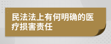 民法法上有何明确的医疗损害责任