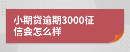 小期贷逾期3000征信会怎么样