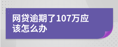 网贷逾期了107万应该怎么办