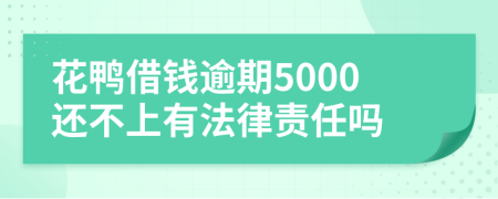 花鸭借钱逾期5000还不上有法律责任吗