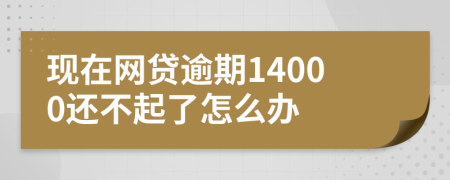 现在网贷逾期14000还不起了怎么办