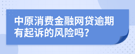 中原消费金融网贷逾期有起诉的风险吗？