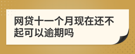 网贷十一个月现在还不起可以逾期吗