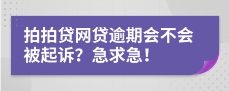 拍拍贷网贷逾期会不会被起诉？急求急！