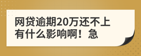 网贷逾期20万还不上有什么影响啊！急