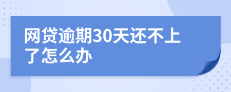 网贷逾期30天还不上了怎么办