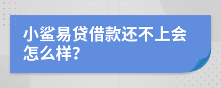 小鲨易贷借款还不上会怎么样？