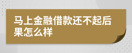 马上金融借款还不起后果怎么样