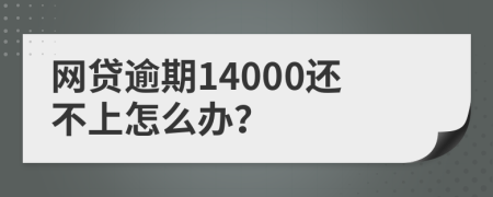 网贷逾期14000还不上怎么办？