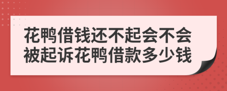 花鸭借钱还不起会不会被起诉花鸭借款多少钱