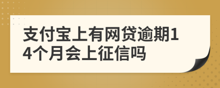 支付宝上有网贷逾期14个月会上征信吗