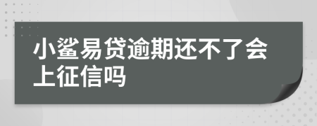 小鲨易贷逾期还不了会上征信吗