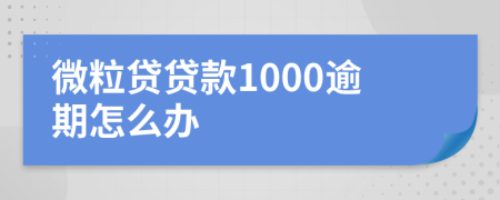 微粒贷贷款1000逾期怎么办