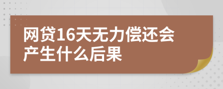 网贷16天无力偿还会产生什么后果