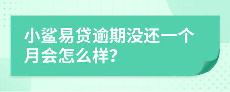 小鲨易贷逾期没还一个月会怎么样？