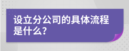 设立分公司的具体流程是什么？