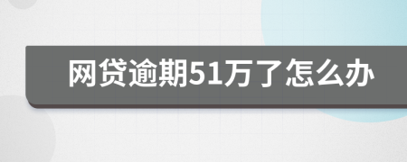 网贷逾期51万了怎么办