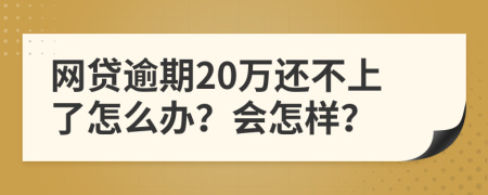 网贷逾期20万还不上了怎么办？会怎样？