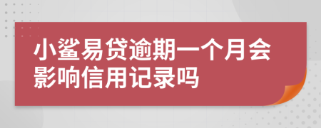 小鲨易贷逾期一个月会影响信用记录吗