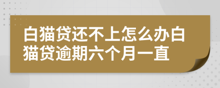 白猫贷还不上怎么办白猫贷逾期六个月一直