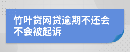 竹叶贷网贷逾期不还会不会被起诉