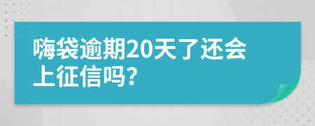 嗨袋逾期20天了还会上征信吗？