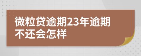 微粒贷逾期23年逾期不还会怎样