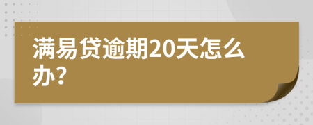 满易贷逾期20天怎么办？