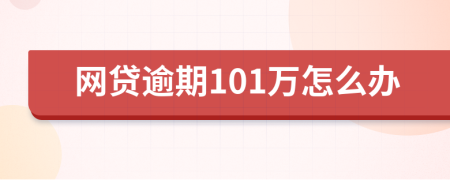网贷逾期101万怎么办