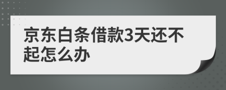 京东白条借款3天还不起怎么办