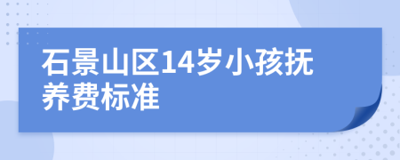 石景山区14岁小孩抚养费标准