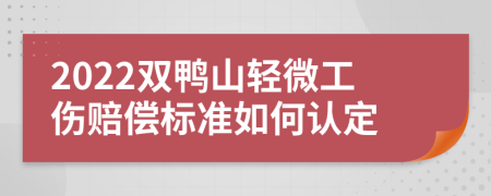 2022双鸭山轻微工伤赔偿标准如何认定