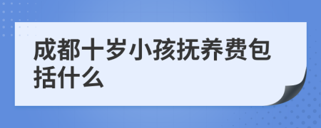 成都十岁小孩抚养费包括什么