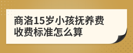 商洛15岁小孩抚养费收费标准怎么算