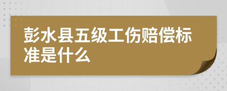 彭水县五级工伤赔偿标准是什么