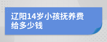 辽阳14岁小孩抚养费给多少钱