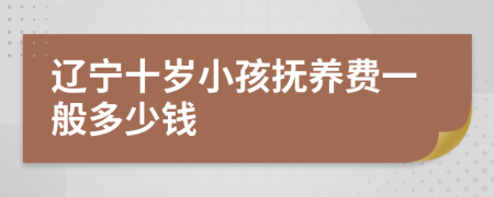 辽宁十岁小孩抚养费一般多少钱