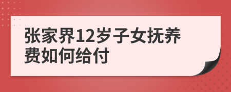 张家界12岁子女抚养费如何给付