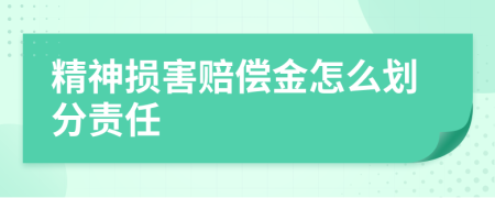 精神损害赔偿金怎么划分责任