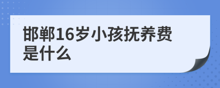 邯郸16岁小孩抚养费是什么