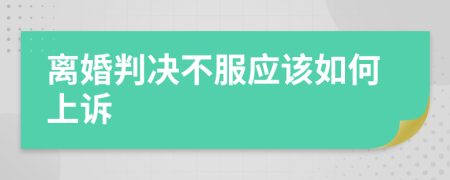 离婚判决不服应该如何上诉