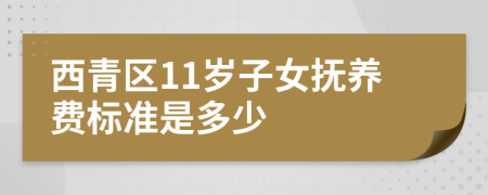 西青区11岁子女抚养费标准是多少