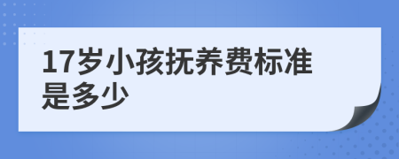 17岁小孩抚养费标准是多少