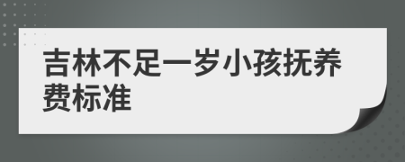 吉林不足一岁小孩抚养费标准