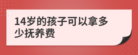 14岁的孩子可以拿多少抚养费
