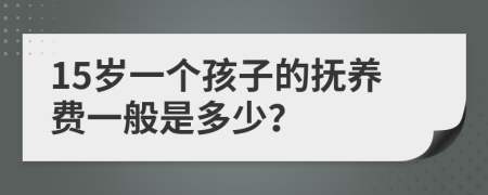 15岁一个孩子的抚养费一般是多少？