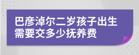 巴彦淖尔二岁孩子出生需要交多少抚养费