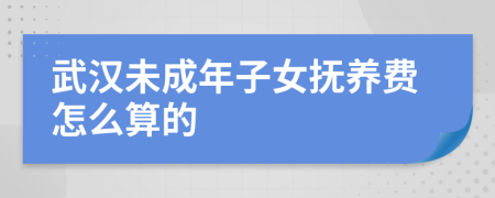 武汉未成年子女抚养费怎么算的